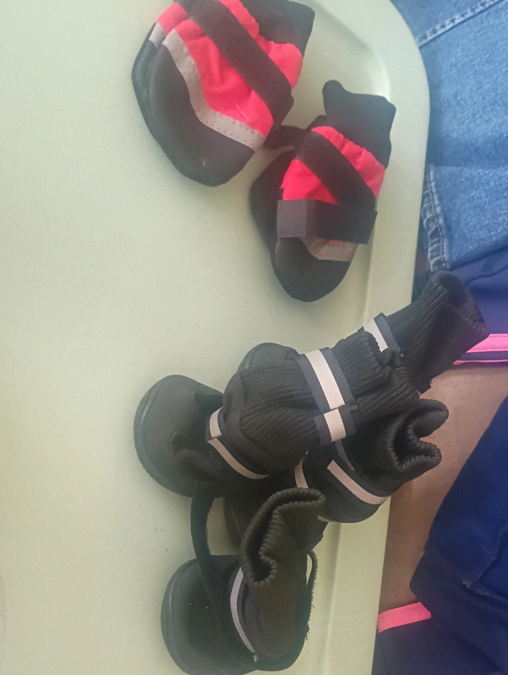 Dog  Black and Red  Water-Resistant Booties And Black And Grey Boots For Dogs